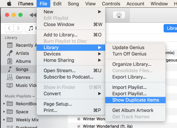 iTunes duplicate items